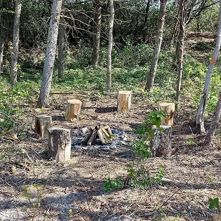 5 Star In Vestervig-by Traum * Vestervig